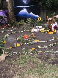 Screen Shot 2021-06-18 at 1.51.32 pm