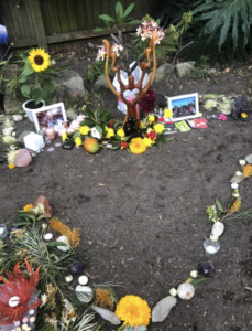 Screen Shot 2021-06-18 at 1.54.25 pm